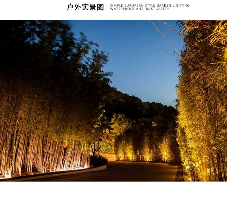 飛碟投光燈_13.jpg